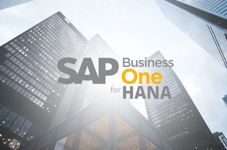 SAP B1 HANA Add-ons in Chennai