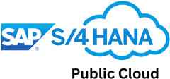 SAP S/4HANA Public Cloud