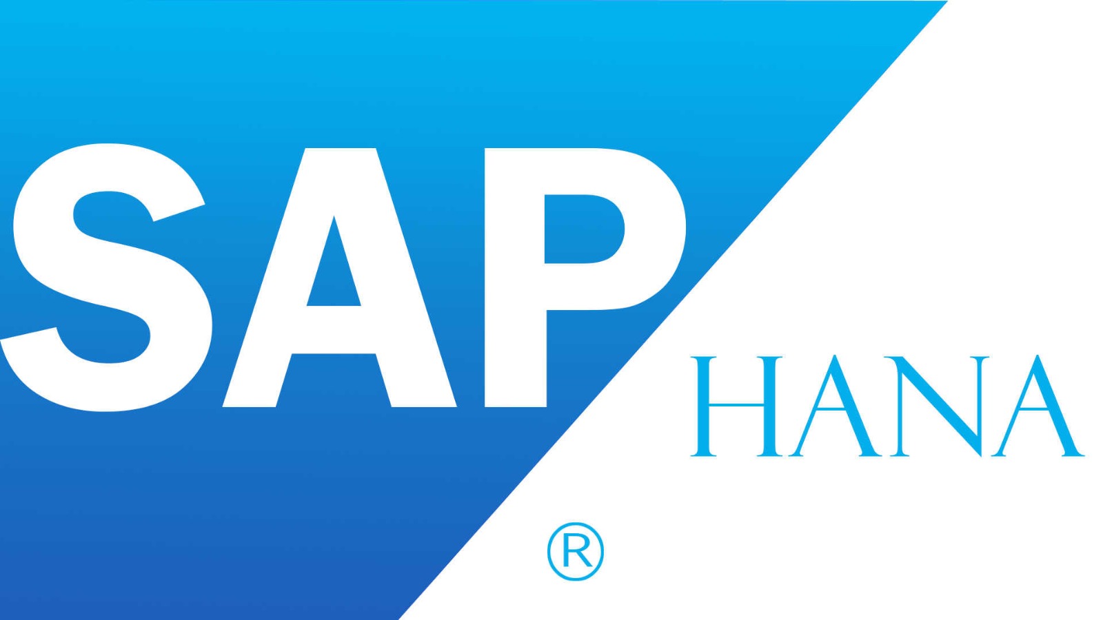 SAP Business One HANA
